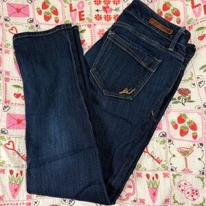 Express Skinny stella low rise Jeans